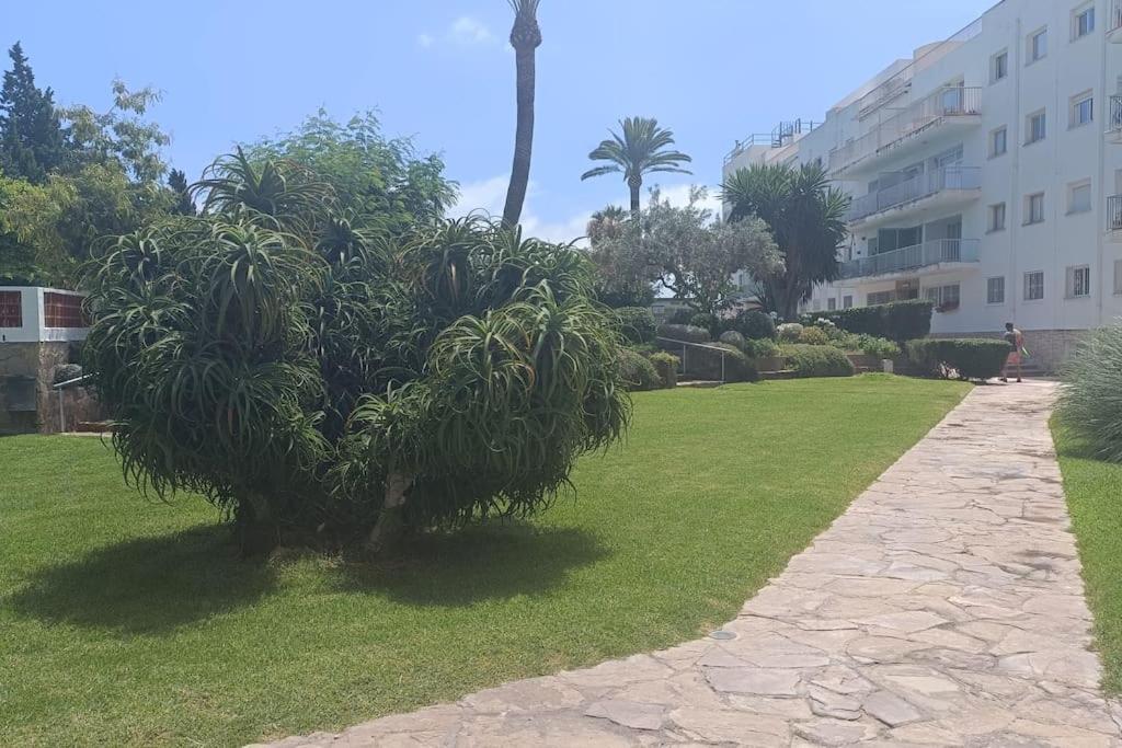 Apartamento 1ª Linea De Playa อาลิกันเต ภายนอก รูปภาพ